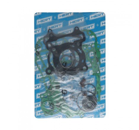 Serie Guarnizioni Motore