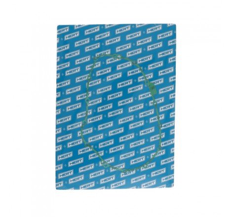 Guarnizione Lato Frizione