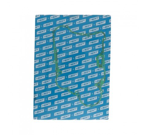 Guarnizione Lato Frizione