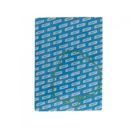 Guarnizione Lato Frizione