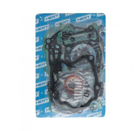 Serie Guarnizioni Motore