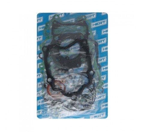 Serie Guarnizioni Motore