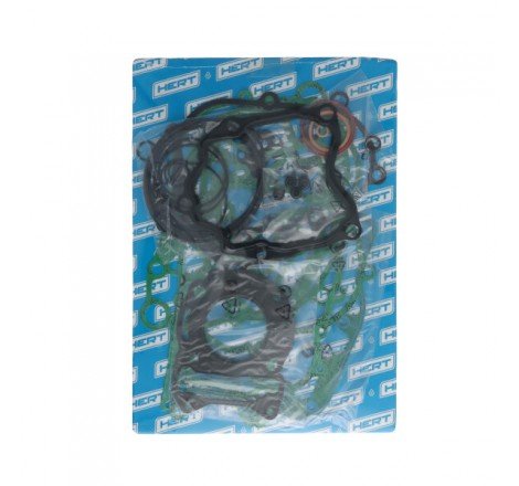 Serie Guarnizioni Motore