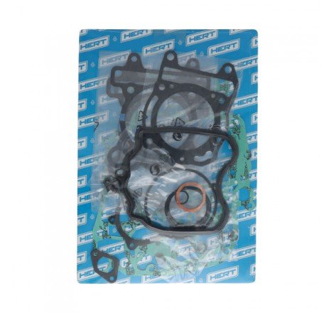 Serie Guarnizioni Motore