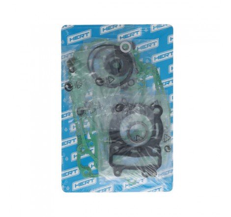 Serie Guarnizioni Motore