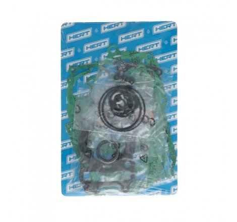 Serie Guarnizioni Motore