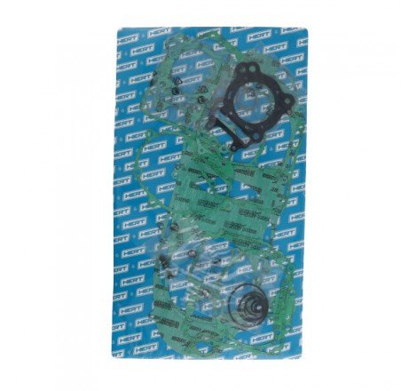 Serie Guarnizioni Motore