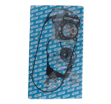 Serie Guarnizioni Motore