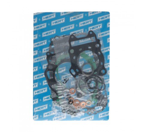 Serie Guarnizioni Motore