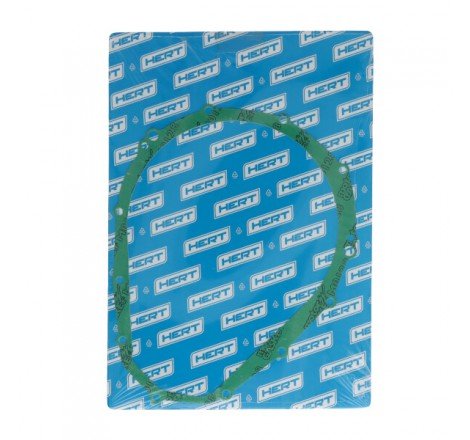 Guarnizione Lato Frizione