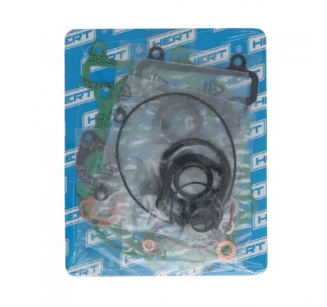 Serie Guarnizioni Motore