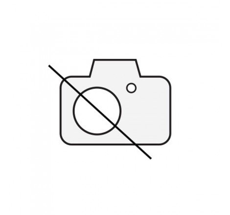 https://images.rms.it/Moto/Motore/Cilindri/big/Evok+AC0-100081340.png