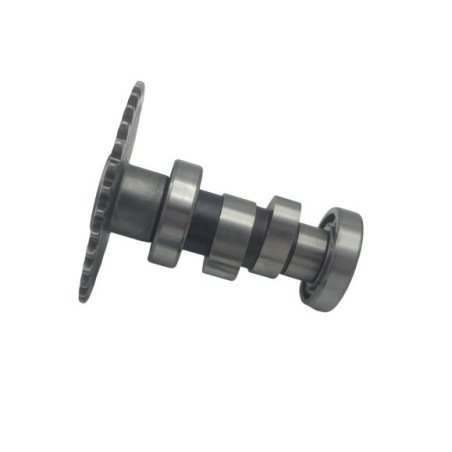 ALBERO ASSE A CAMME COMPATIBILE KYMCO LIKE PEOPLE AGILITY 125 150 200 N.O. 14100-KFA9-220