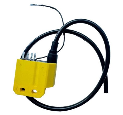 CENTRALINA GIALLA AD ANTICIPO FISSO COMPATIBILE PER MOTORI MINARELLI AM CON VOLANO DUCATI 6 POLI