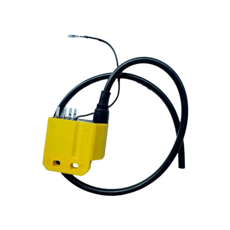 CENTRALINA GIALLA AD ANTICIPO FISSO COMPATIBILE PER MOTORI MINARELLI AM CON VOLANO DUCATI 6 POLI