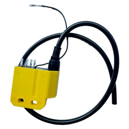 CENTRALINA GIALLA AD ANTICIPO FISSO COMPATIBILE PER MOTORI MINARELLI AM CON VOLANO DUCATI 6 POLI