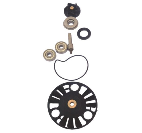 KIT REVISIONE POMPA ACQUA COMPATIBILE GILERA RUNNER VX 4T 125 2006  / PIAGGIO BEVERLY RST 125 2007