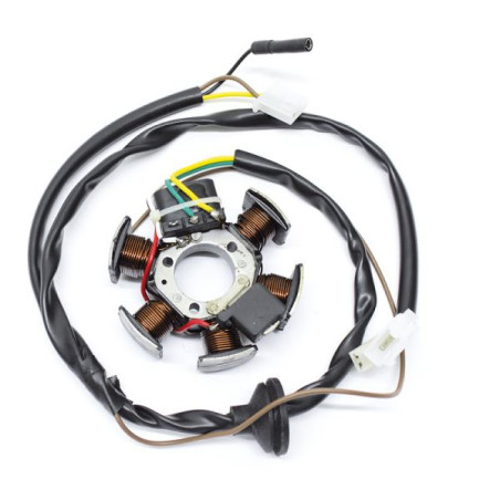 STATORE 5 BOBINE 2 CONNETTORI 3 E 2 FILI COMPATIBILE MALAGUTI CIAK 50 1999 AL 2002 N.O. MA.78201800