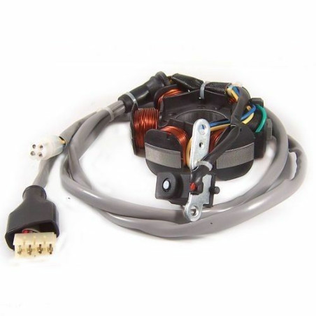 STATORE A 5 BOBINE CONNETTORE 4 FILI COMPATIBILE PIAGGIO HEXAGON LIBERTY VESPA ET4 125 N.O. 294971