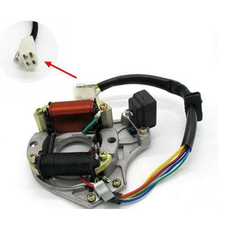 STATORE A 2 BOBINE E 5 CAVI COMPATIBILE PER MINIQUAD 50-110 PER Kazuma Quad ATV Go Kart bike LF100 DY100 H100 LX100