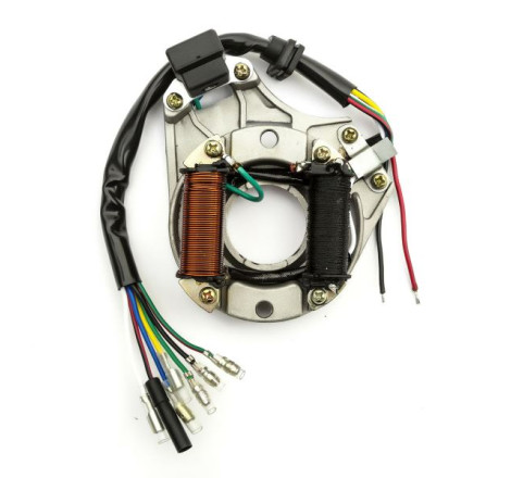 STATORE A 2 BOBINE E 7 CAVI COMPATIBILE PER Quad Pit Bike 4T 125cc 140cc 150cc 160cc