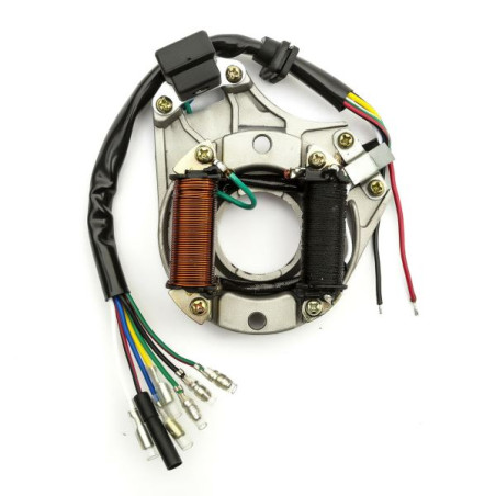 STATORE A 2 BOBINE E 7 CAVI COMPATIBILE PER Quad Pit Bike 4T 125cc 140cc 150cc 160cc