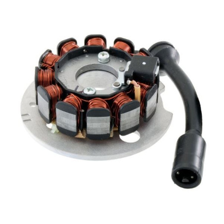 STATORE 12 POLI COMPATIBILE PIAGGIO APE 50 2009-2011, N.O 642205