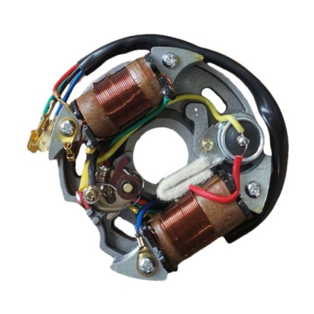 STATORE 2 BOBINE 5 FILI 25 WATT 6V COMPATIBILE VESPA 50 SPECIAL L/R/N/S/ COMPLETO DI CONTATTI DAL 1965 AL 1983, N.O. 111764