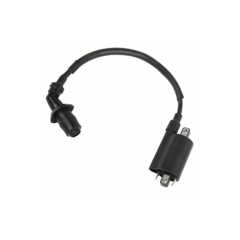 BOBINA ACCENSIONE ALTA TENSIONE CON ATTACCO CANDELA COMPATIBILE KYMCO-MALAGUTI-YAMAHA 250, 2,70 OHM N.O. AP0265417