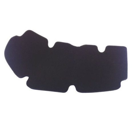 FILTRO ARIA COMPATIBILE PEUGEOT GEOPOLIS 125