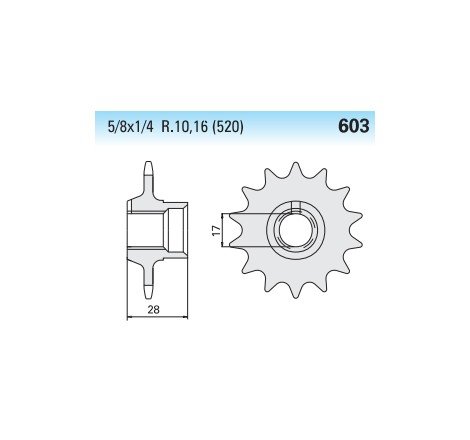 PIGNONE 520 Z13