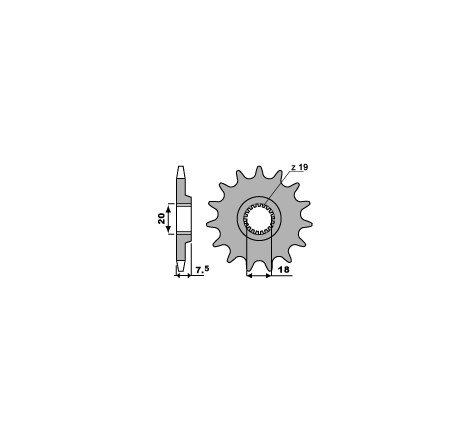 PIGNONE 520 Z13 (326K)