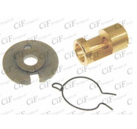 RALLINO PIATTELLINO...