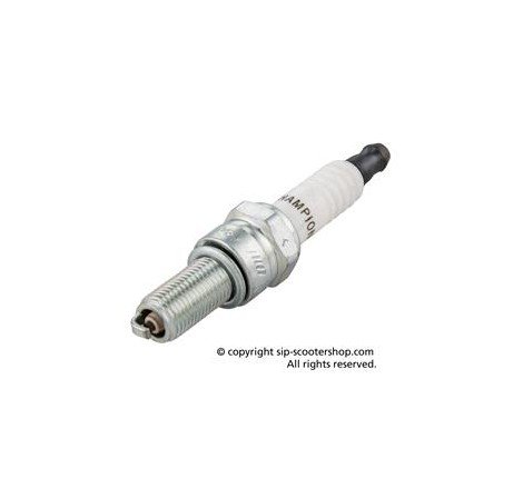 CANDELA CHAMPION RG4HCX