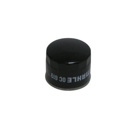 FILTRO OLIO MAHLE OC619 BMW...