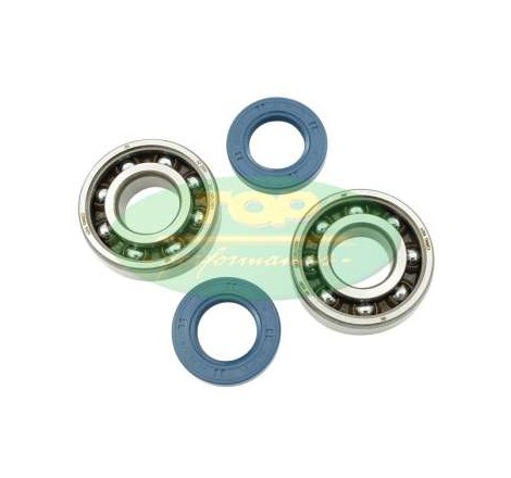 KIT CUSCINETTI E PARAOLI...