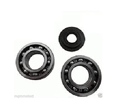 KIT CUSCINETTI E PARAOLI...