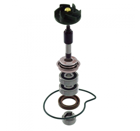 KIT REVISIONE POMPA ACQUA...