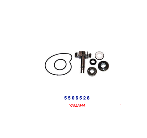 KIT REVISIONE POMPA ACQUA...