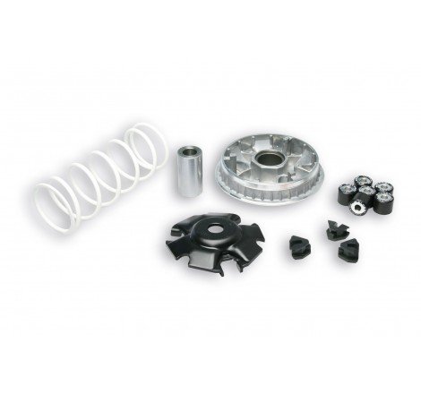 VARIATORE MALOSSI HONDA SH...