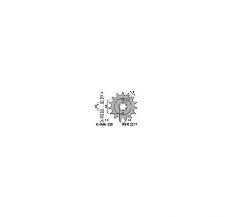 PIGNONE 520 Z13 (4106K)