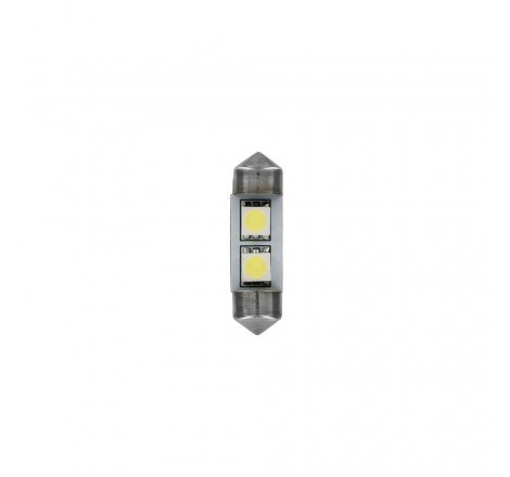 20 LAMPADE SILURO 31MM 28V...