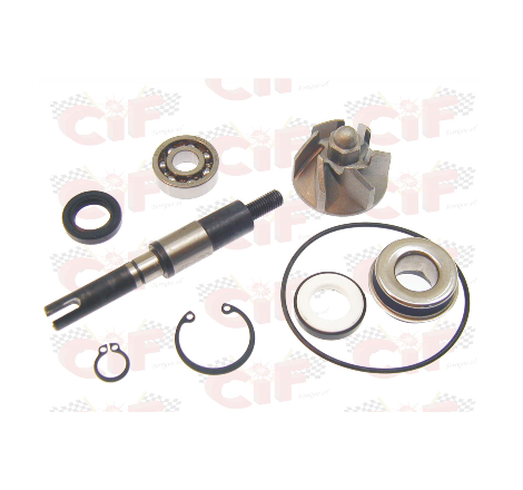 KIT REVISIONE POMPA ACQUA...