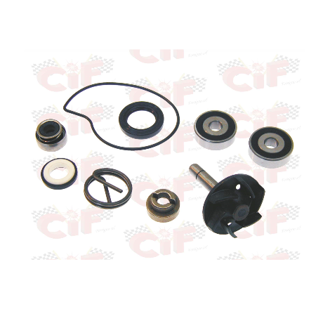 KIT REVISIONE POMPA ACQUA...