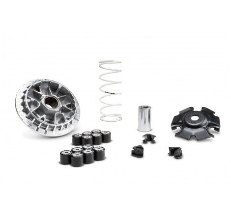 VARIATORE MALOSSI HONDA SH...