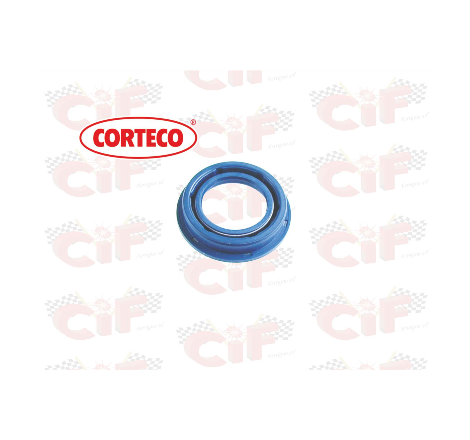 PARAOLIO LATO VOLANO...