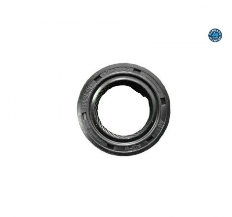 PARAOLIO LATO VOLANO...