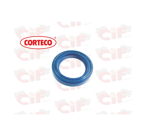 PARAOLIO BANCO PX 24 X 35 X 6