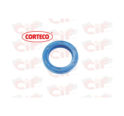 PARAOLIO 17 X 25 X 4