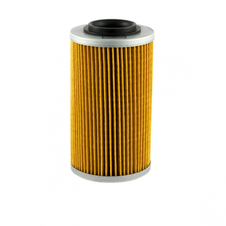 https://images.rms.it/Moto/Motore/Filtri-Olio/big/Champion-100609925.png